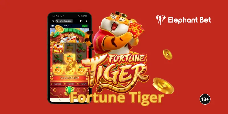 Fortune tiger Elephant Bet